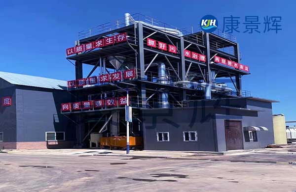 我需要采購mvr蒸發器，能處理硫酸鈉和硫酸銨廢水，一天300噸，有哪些廠家可以推薦給我