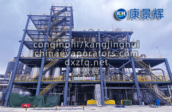 處理量29t/h硫酸鈉、硫酸銨預處理+蒸發分鹽+母液干化系統