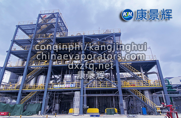 處理量29t/h硫酸鈉、硫酸銨預處理+蒸發分鹽+母液干化系統