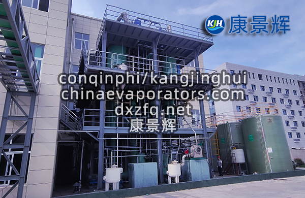 垃圾焚燒飛灰洗水雙效MVR蒸發器